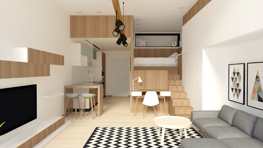 Small Scandinavian Studio Apartment
